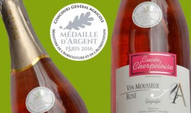 Mousseux rosé primé à Paris 2016 - Nantes - Domaine Anthony Amiant 