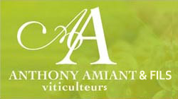 Domaine Anthony Amiant