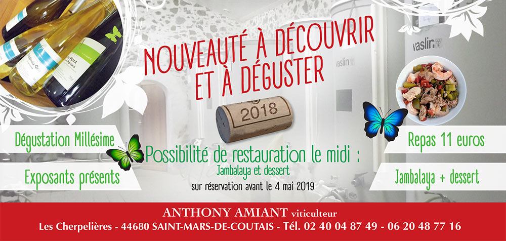 Dégustation vin Nantes mai 2019 - Anthony Amiant