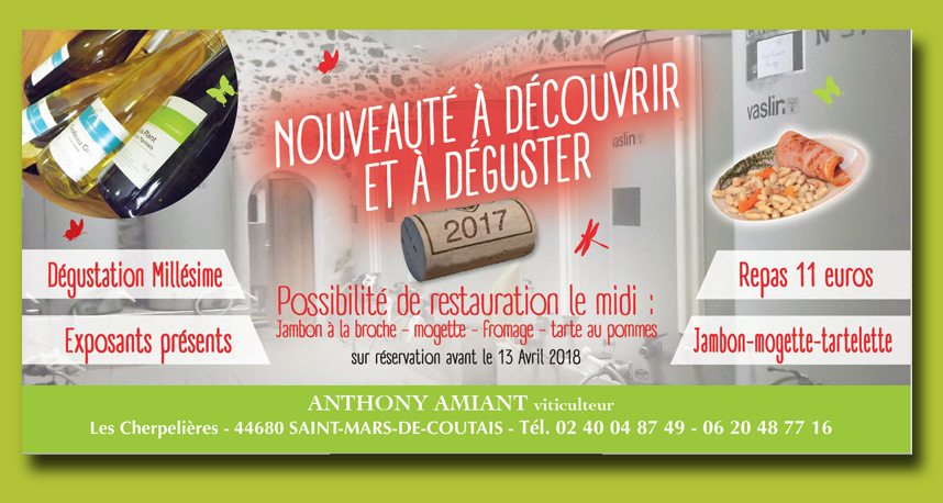 Portes ouvertes viticulteur Nantes sud loire : Anthony Amiant