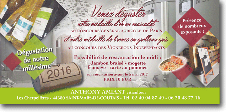 Vins 44 Portes Ouvertes Nantes sud Loire - Domaine Amiant anthony