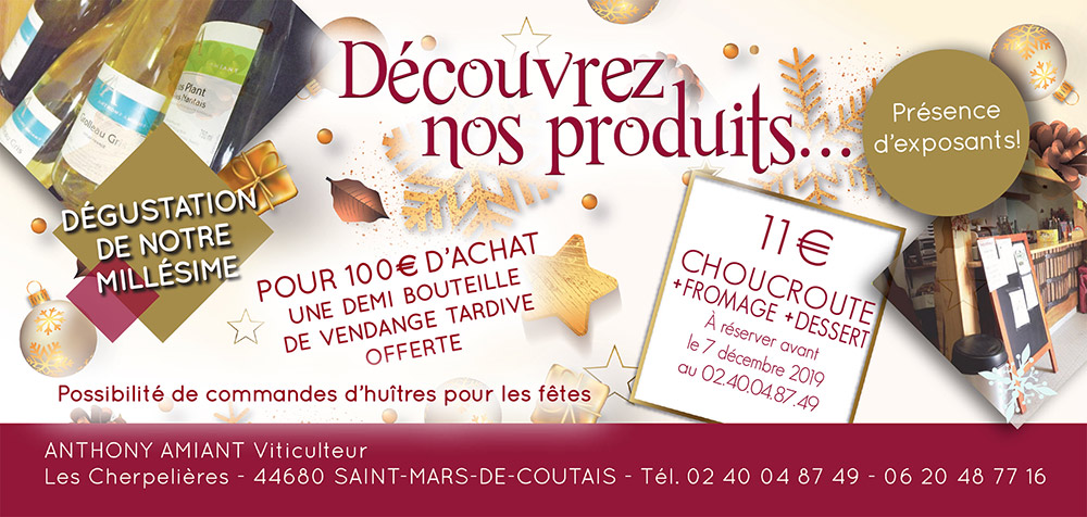 Vins Nantes Portes Ouvertes décembre 2019 - Domaine Anthony Amiant