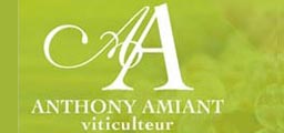 Viticulteur Pornic 44 Nantes Amiant Anthony