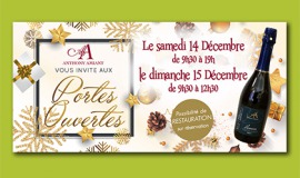 Viticulteur à St Mars de Coutais, Portes Ouvertes les 14 et 15 décembre 2019 - Solène et Anthony Amiant