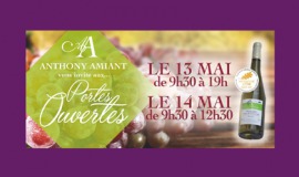 Vins Nantes sud Loire : Portes Ouvertes Domaine Amiant 2017